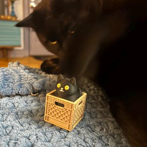 Amanda added a photo of their purchase