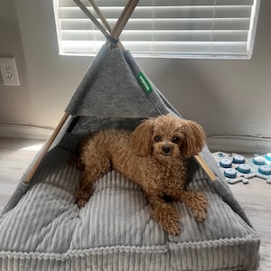 Debra added a photo of their purchase