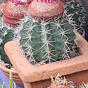 Maryann added a photo of their purchase