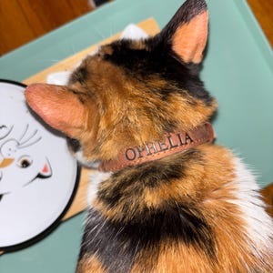 Molly added a photo of their purchase
