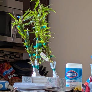 John added a photo of their purchase
