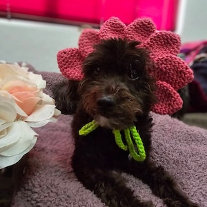 marina adicionaram uma foto da sua compra