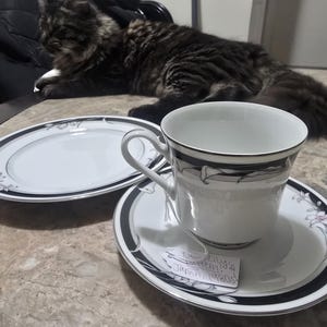 Lauren added a photo of their purchase