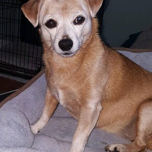 Celeste added a photo of their purchase