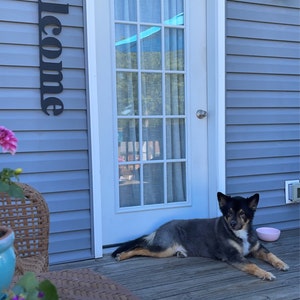Susie added a photo of their purchase