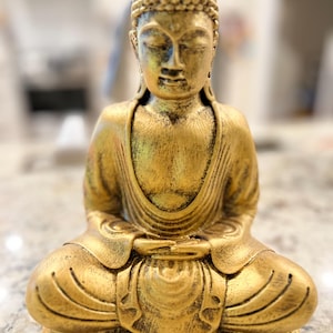 Yoko added a photo of their purchase