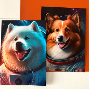 Romain added a photo of their purchase