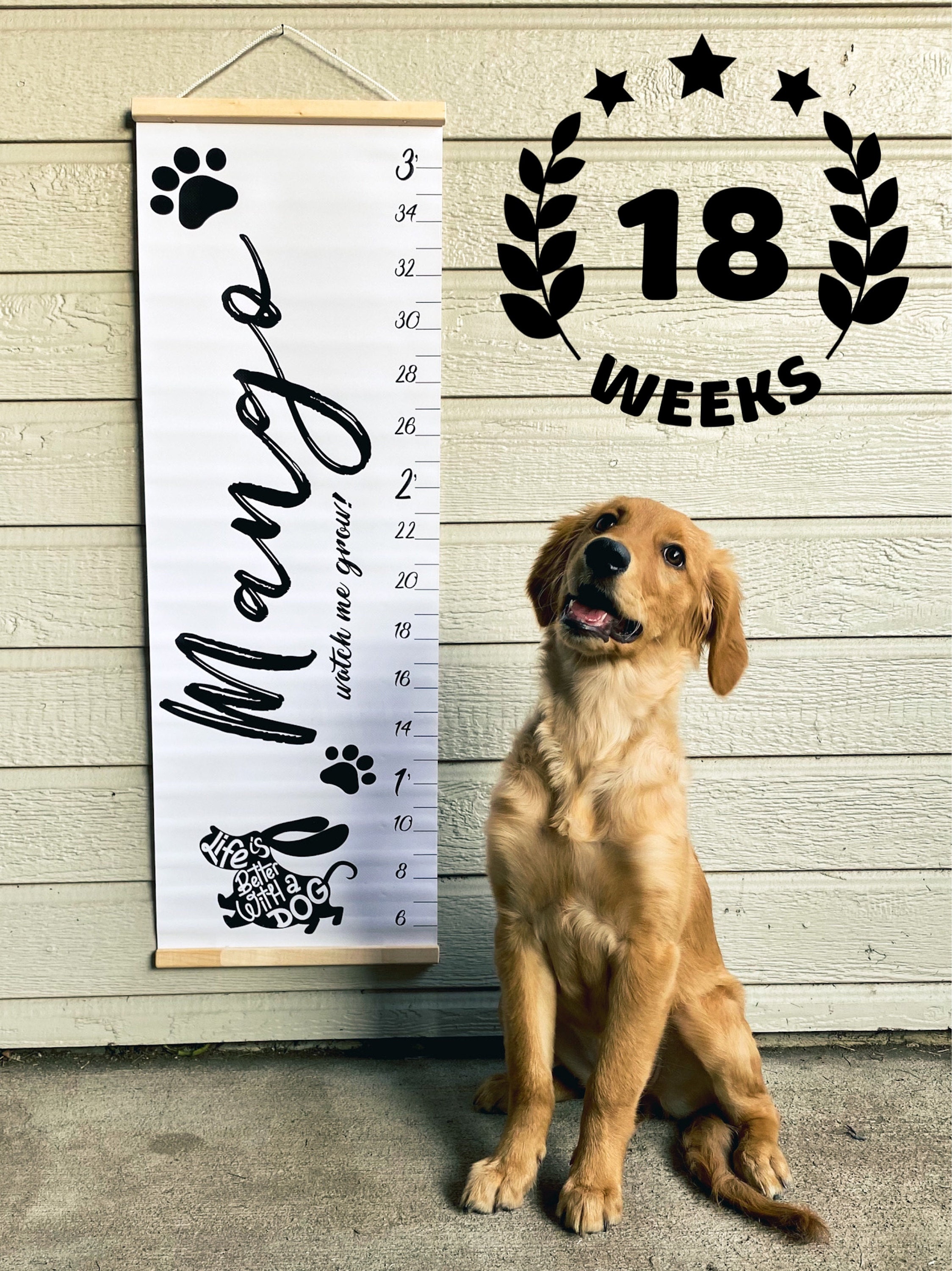 Growth chart for dogs Puppy height chart Pet decor New puppy gift Dog adoption