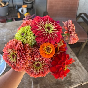 Jennifer added a photo of their purchase
