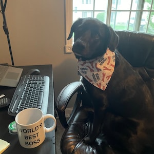 Rylee added a photo of their purchase