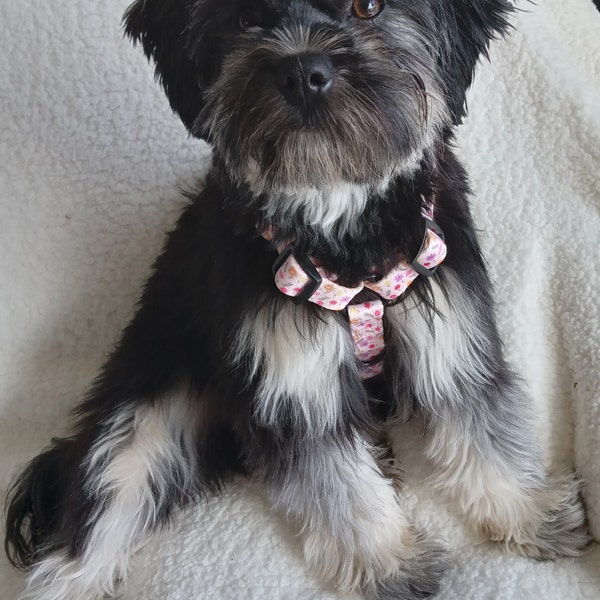 Sweet Floria Doggie Harness