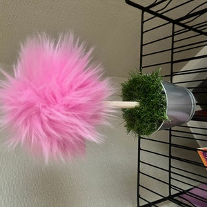 Alison added a photo of their purchase