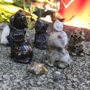 Quasarian adicionaram uma foto da sua compra