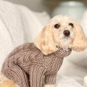 Hand Knit Dog Onesie: Yellow Cabled Wool Pet Sweater - Etsy