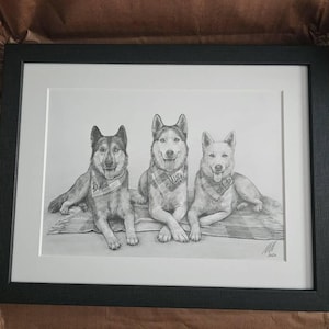 Stephanie added a photo of their purchase