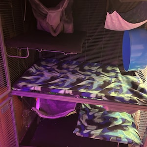 Madison added a photo of their purchase