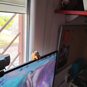 Hand Carving Wooden Cat,Wooden Sculpture,Wooden Frog,Christmas Gifts,Cat Ornaments,Gift For Her,Cat Figurine,Desk Decor,Cat Lover Gift