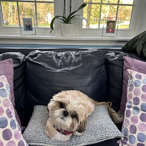 Patti added a photo of their purchase