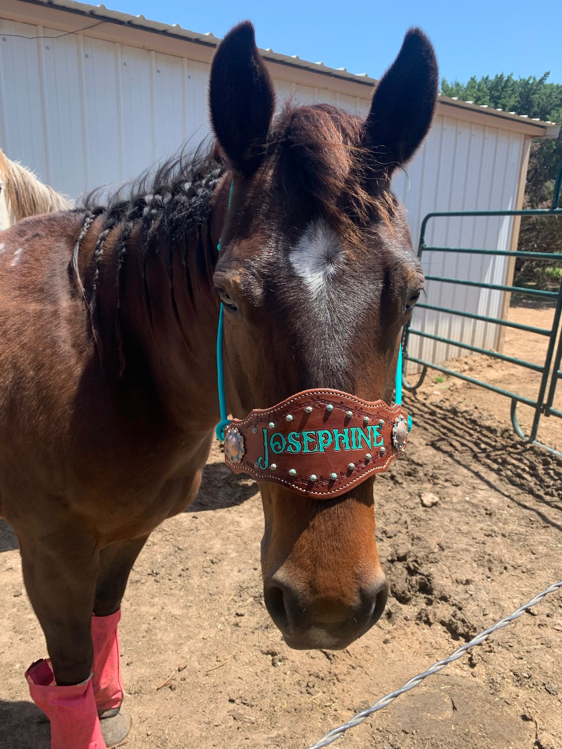 Custom Bronc Noseband with Premium Yacht Rope Halter