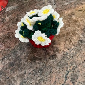 Melissa さんが購入した商品の写真を追加しました