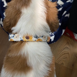 Jen added a photo of their purchase