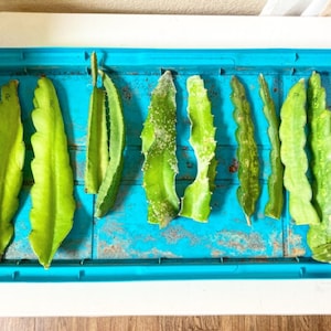 Dee added a photo of their purchase