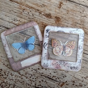 Stephanie さんが購入した商品の写真を追加しました
