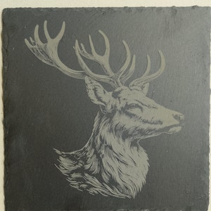 Edwin ha añadido una foto de su compra