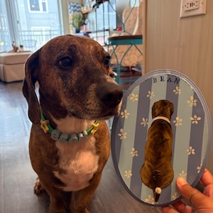 Jessie added a photo of their purchase