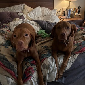 Bonnie added a photo of their purchase