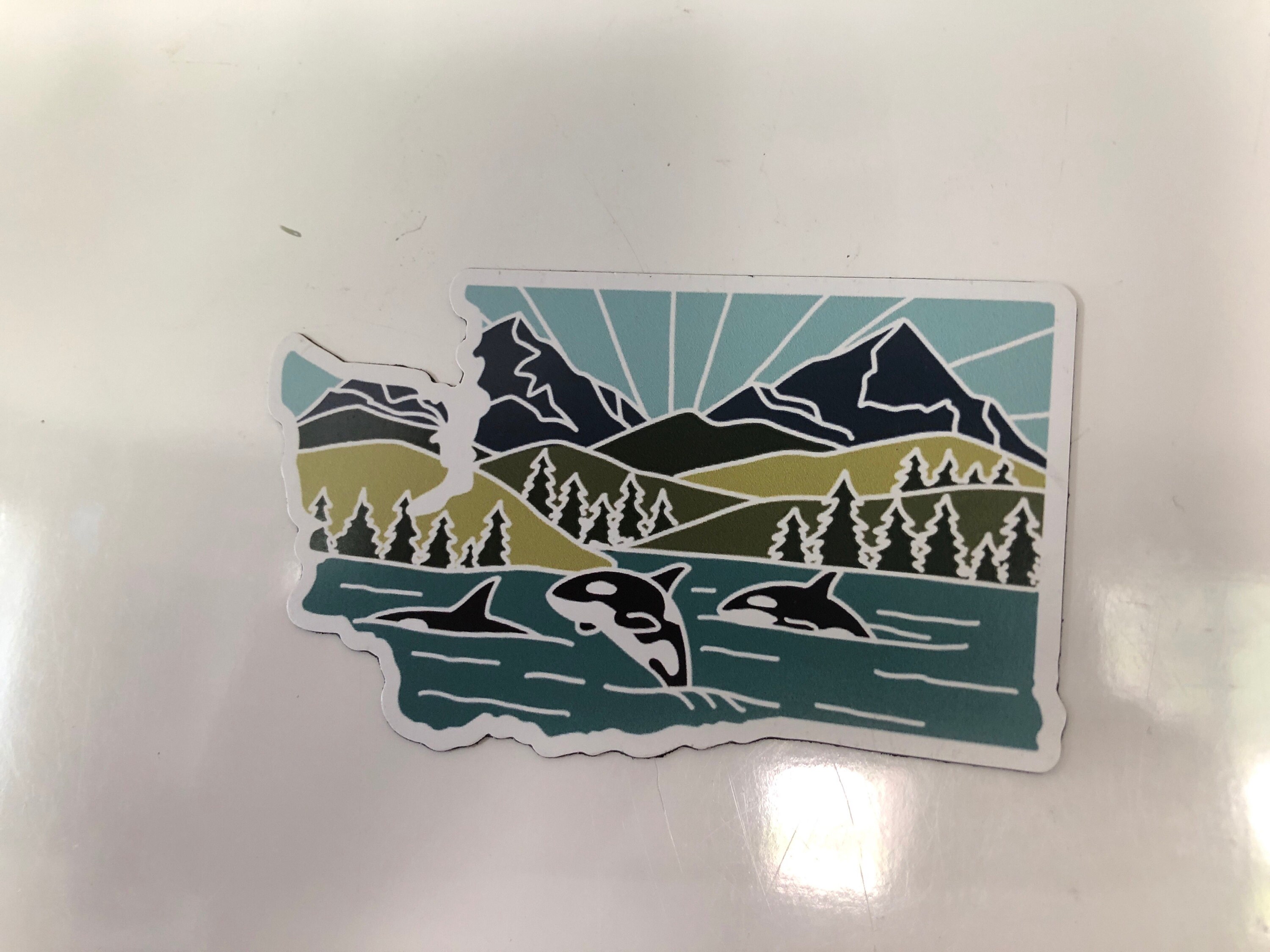 Washington Car Magnet | Weatherproof State Magnet | Outdoorsy Magnet | Washington Gift | Locker Magnet | Fridge Magnet | Decorative Magnet