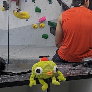 Cris heeft een foto van zijn/haar aankoop toegevoegd