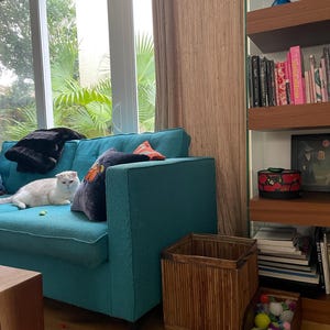 Kjersti adicionaram uma foto da sua compra