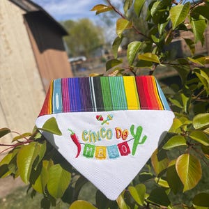 Lily hat ein Foto des gekauften Artikels hinzugefügt