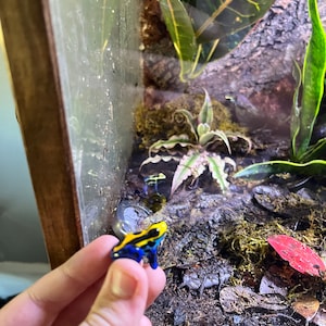 maddox ha añadido una foto de su compra