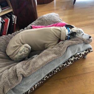 sylvie added a photo of their purchase