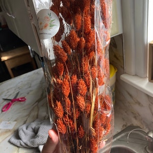 Christina added a photo of their purchase