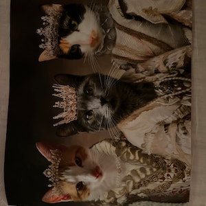 Nadia added a photo of their purchase