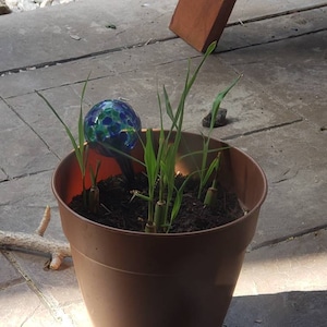 Mackenzie ha aggiunto una foto del proprio acquisto