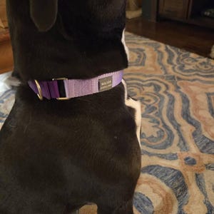 Katherine added a photo of their purchase