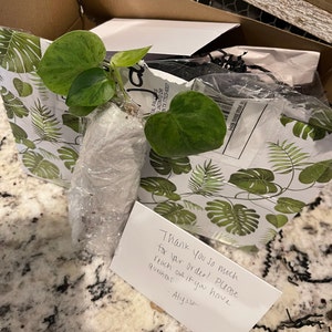 None added a photo of their purchase