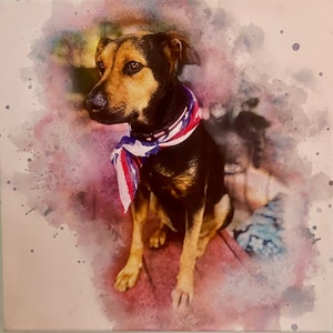 Julie added a photo of their purchase