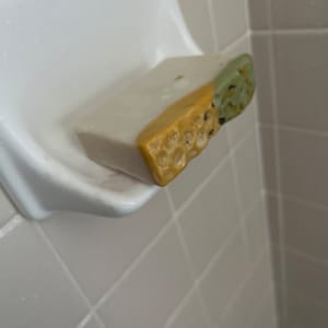 visible added a photo of their purchase
