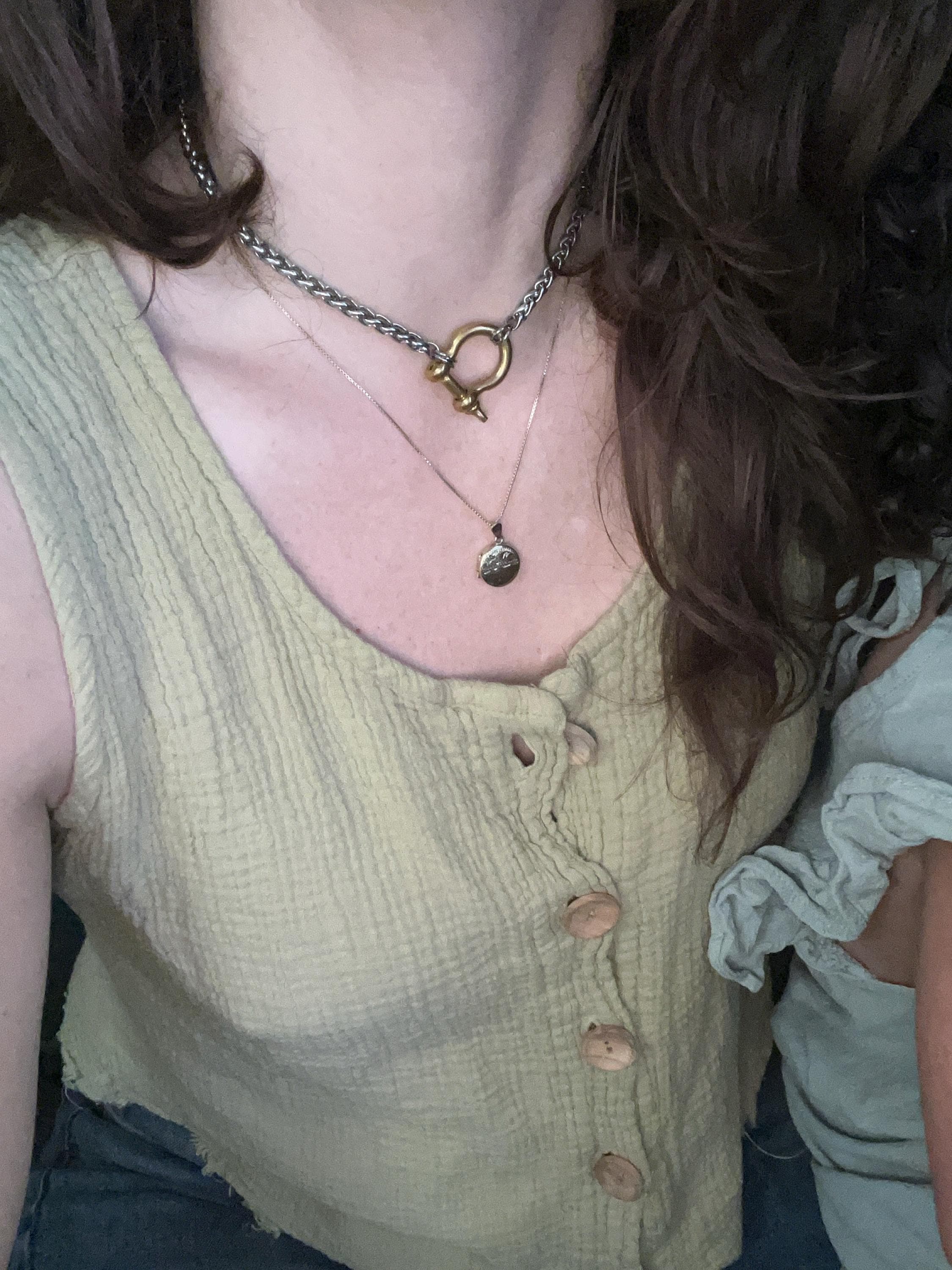 Horseshoe Shackle Stainless Steel Necklace - Chunky Choker Necklace - Bold Necklace - Punk Jewelry - Statement Piece - Carabiner Necklace