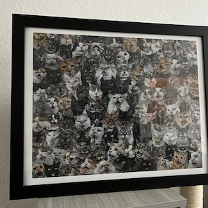 hayley added a photo of their purchase