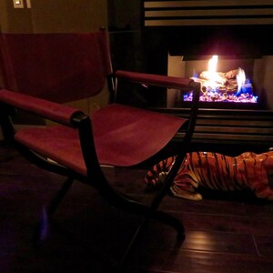 Sammy added a photo of their purchase