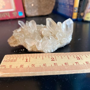 Large Septarian Nodule Natural Dragon Septarian Geode Quartz Egg Cluster Crystal  Healing Crystal Specimen 1pc
