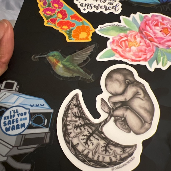 Clear Vinyl Sticker Pelvic Floor Anatomy Sticker for OBGYN Sticker for ...