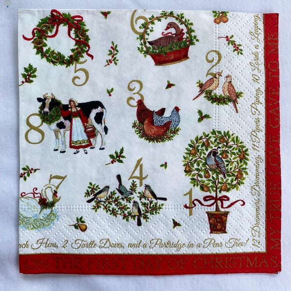 Bow Wow Wow Dog Advent Calendar Card With Envelope 170 X 120mm Roger La