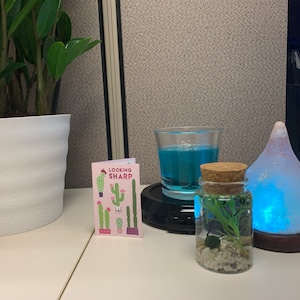 Diana added a photo of their purchase